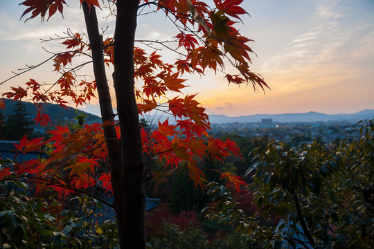 京都東山　夕焼けに紅葉