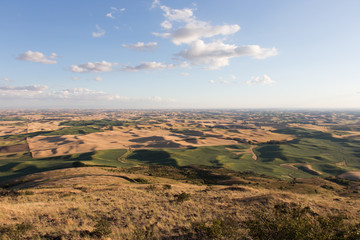 View of The Palouse from Steptoe Butte