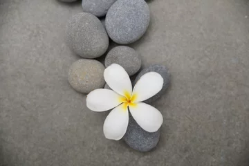 Foto op Canvas frangipani with spa stones on grey background.     © Mee Ting