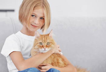 Cute little girl with red fluffy cat on sofa in room
