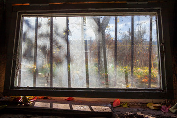 Autumn in window