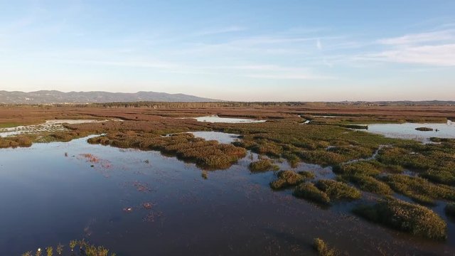 Aerial shot, fly over marshy landscape with autumn colors in europe,  made with drone
