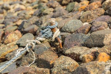 old rope tied with rusty iron on rock