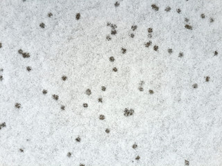 Drop of water on the snow background 