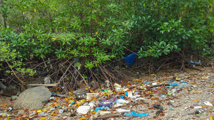 trash in the mangrove forest in Thailand