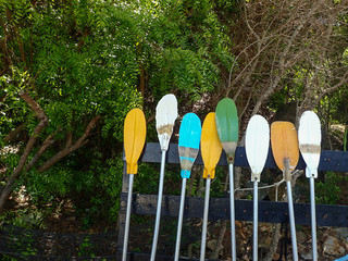 Colorful paddle board for rent on the beach