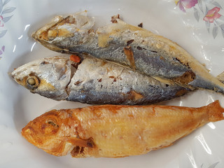 Deep fried mackerel fish in the dish 