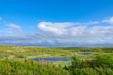 Fototapeta na wymiar Lakes. trees and rocks under blue sky in north Newfoundland