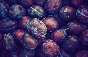 Vintage photo of fresh plums background