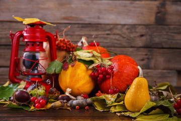 Autumn still-life.Autumn background. Decorative pumpkins,colorful leaves,chestnuts,acorns,Rowan and cranberries .selective focus.
