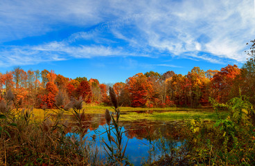 Fototapeta premium Pond in autumn, yellow leaves, reflection