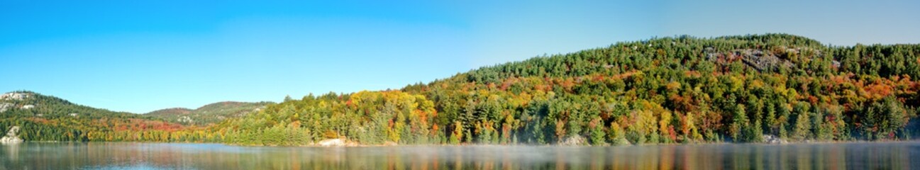 Sunrise above forest lake