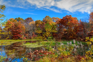 Autumn Landscape. The bright colors in the lake.