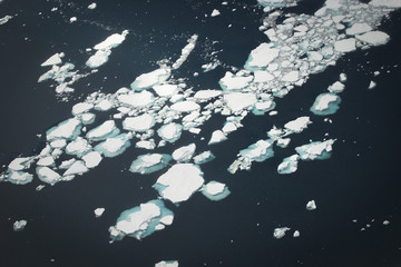 Pack ice in Antarctica