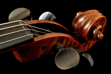 Violin