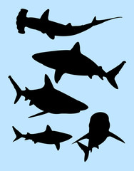 Sharks animal gesture silhouette. Good use for symbol, logo, web icon, mascot, sign, or any design you want.