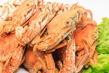 Steamed craps serve with fresh Lettuce isolated on a white background, Closed up