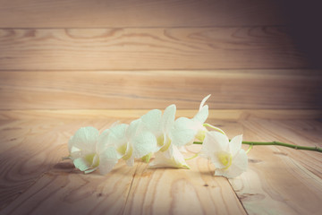 White orchid(Phalaenopsis ) on a wooden background close-up , vi