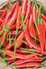 basket full of red chili peppers on wood..