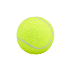 tennis ball on white background. tennis ball isolated. green col