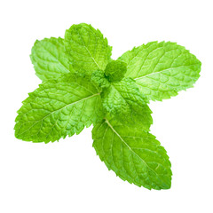 Fresh raw mint leaves isolated.