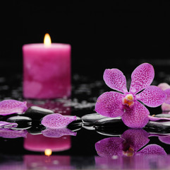 Obraz na płótnie Canvas Macro of pink orchid with candle on wet black stones 