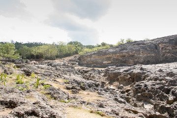 Fototapeta na wymiar Dry Lava Basaltic Rock Stone Background at Mount Batur Kintamani Bali Indonesia