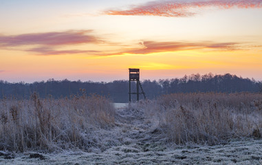 Hunting tower in the frosty morning
