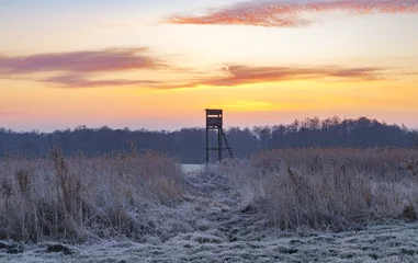 Foto auf Acrylglas Jagd Jagdturm am frostigen Morgen