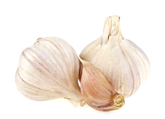 Obraz premium Garlic isolated on white background