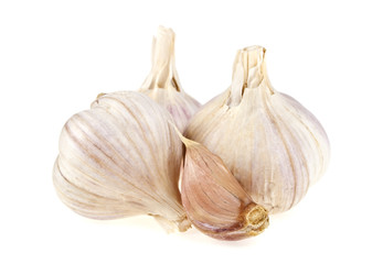 Garlic isolated on white background