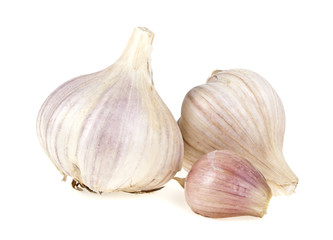 Obraz premium Garlic isolated on white background