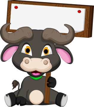 funny buffalo cartoon holding blank sign