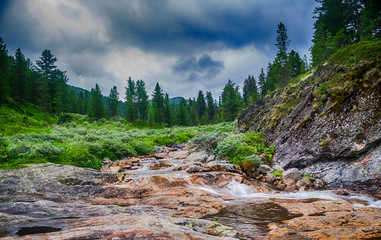 Obraz premium mountain stream in taiga