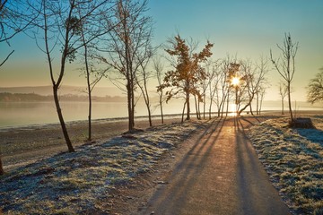 Fototapeta na wymiar Winter walkwy with frost