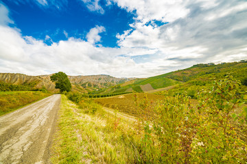 Fototapeta na wymiar Emilia Romagna, Italy, fields on hills