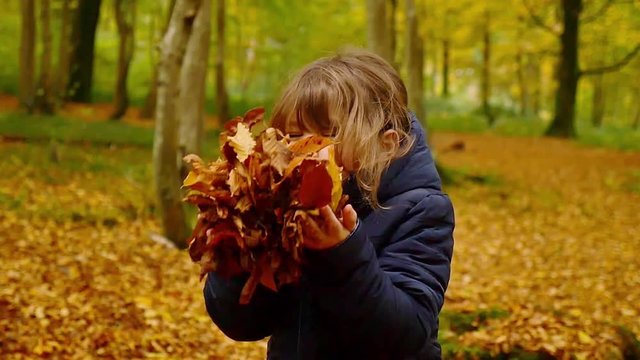enfant jouant avec les feuilles en automne