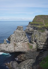 Fototapeta premium Landschaft mit tausenden Lummen und anderen Seevögeln auf Rathlin Island / Nordirland 