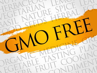 GMO FREE word cloud collage, food concept background
