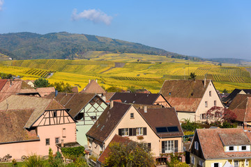 Fototapeta na wymiar Hunawihr - small village in vineyards of alsace - france