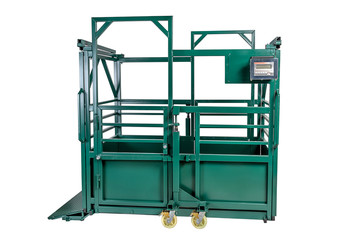 scales for weighing of animals