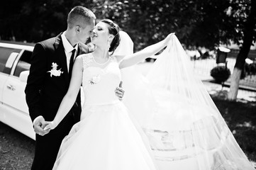 wedding couple background limousine