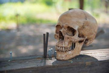 Skull in construction site concept safety of life