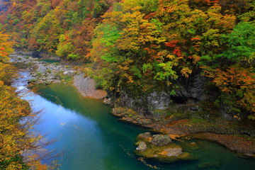 紅葉の抱返り渓谷