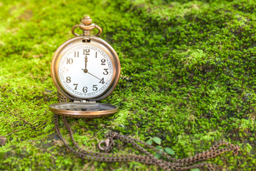 Antique clock vintage on green grass