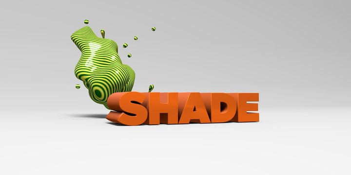SHADE -  color type on white studiobackground with design element - 3D rendered royalty free stock picture. This image can be used for an online website banner ad or a print postcard.