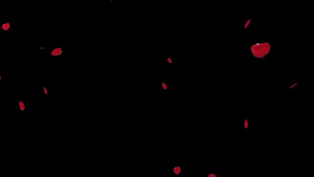 Falling rose petals with alpha channel