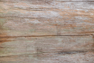 Naklejka na ściany i meble Brown wood texture from barn