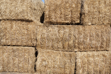 detail of bales of hay © sal