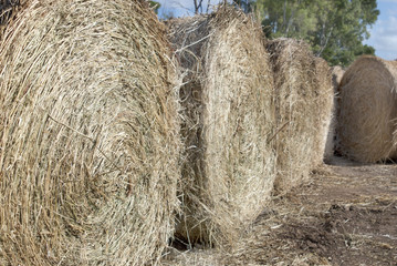 detail of bales of hay